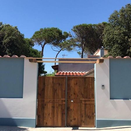 Viareggina Con Giardino Apartamento Marina Di Pisa Exterior foto