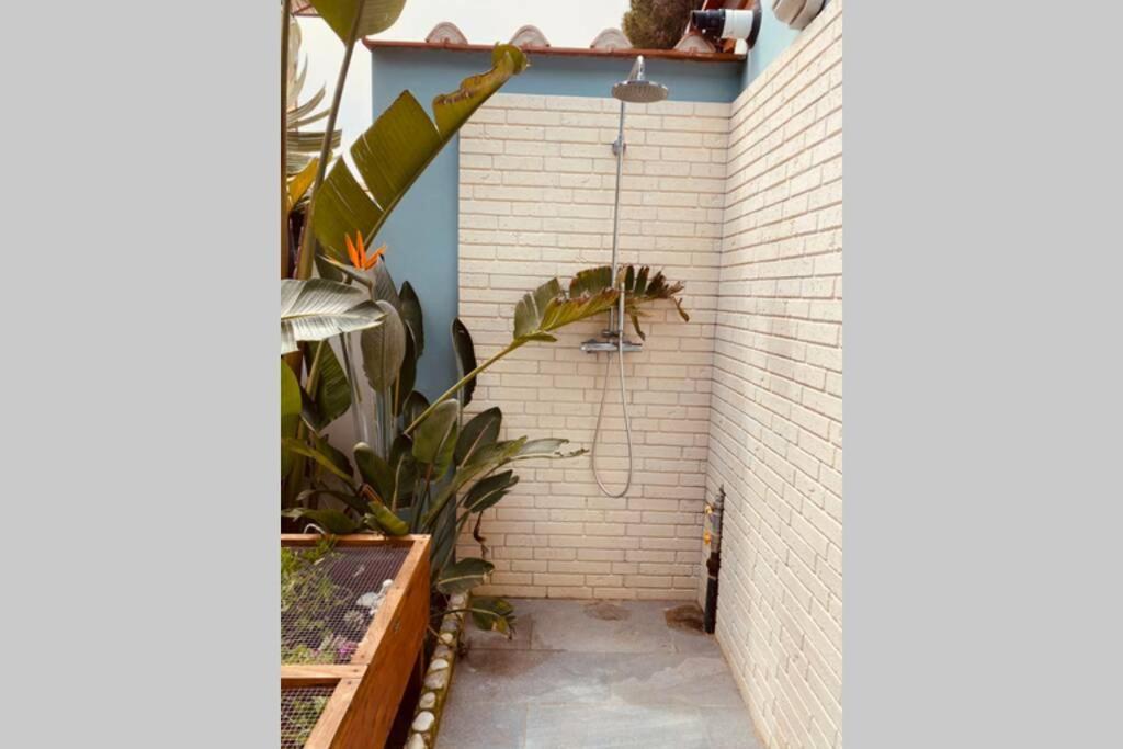 Viareggina Con Giardino Apartamento Marina Di Pisa Exterior foto